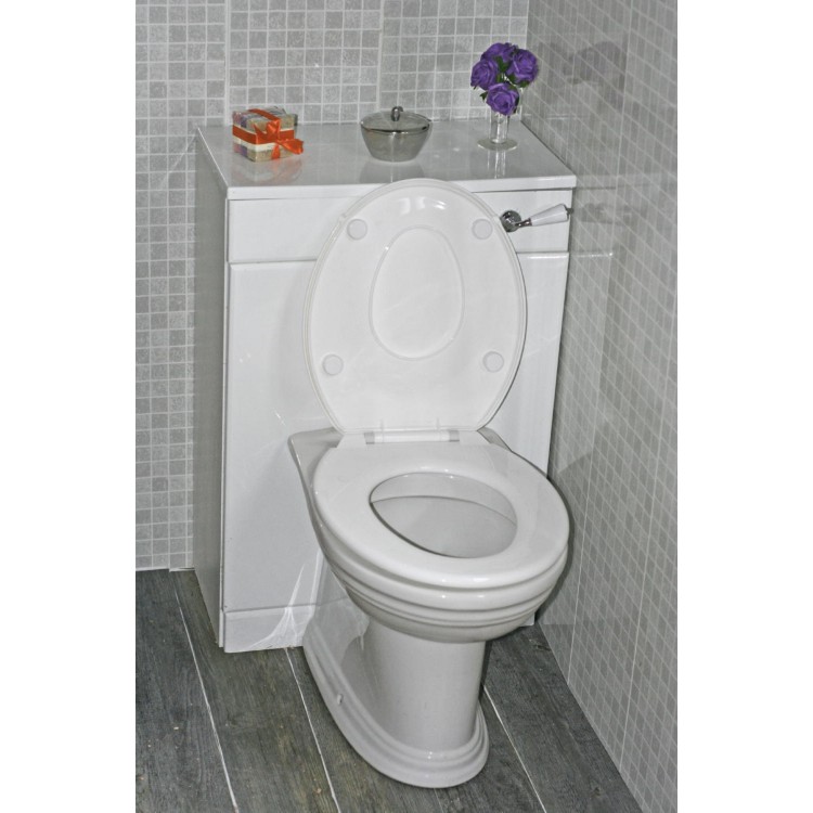 Georgia All-In-One Potty Training Seat
